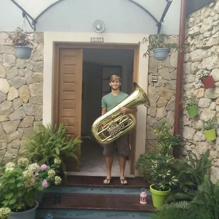 Hostel Mare Σίμπενικ